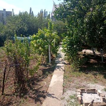 Продам дачу в Шевченковском районе