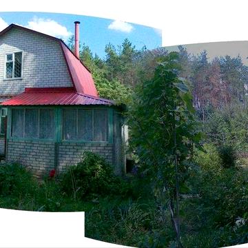 Затишна дача з доглянутим садом та власним шматочком соснового лісу Покотилівка (СТ "Акація")