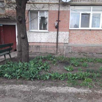 Продам трикімнатну квартиру в Полтавській області (смт. Чутове)