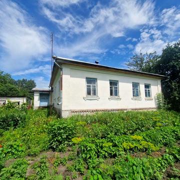 Продається будинок в с. Виблі