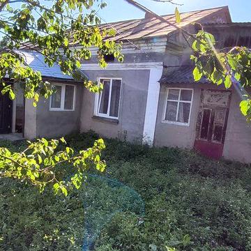 Будинок з землею в селі Білоголовий на Тернопільщині