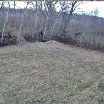 Радісна