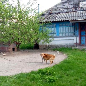 Довгострокова оренда 4к Дім Лукімя