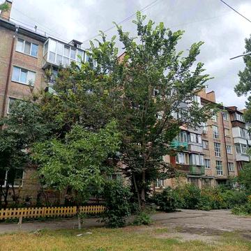 Однокімнатна квартира на вулиці Вирського, 10 (Нивки)