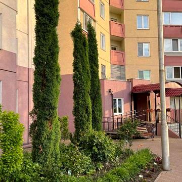 Трикімнатна квартира