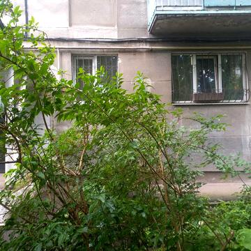 Сдам квартиру в Аркадии