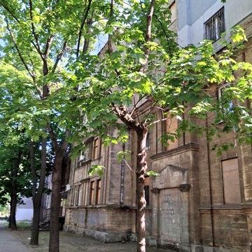 СВОЯ СТАЛІНКА .Центр, у звязку з виїздом терміново ЖК Добробут