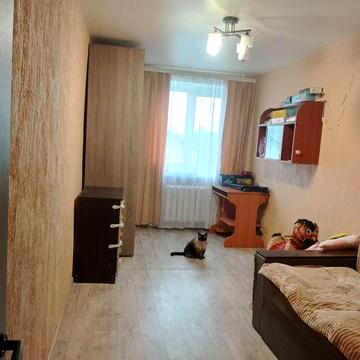 Здам 2х кімнатну квартиру район спортивного магазину