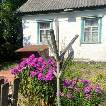 Хата в селі , 80 км от Киева