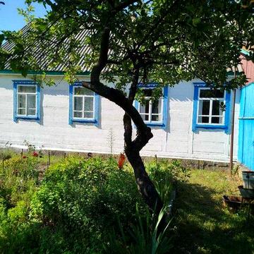 Хата з землею с.Кропивня Житомирська обл. Жит. р-н.ОПИС!