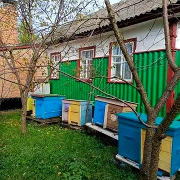Продам добротний будинок в селі Жигалівка,пояд ліс та річка.