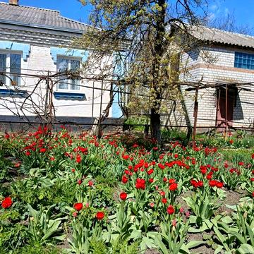 Продаж приватного будинку.