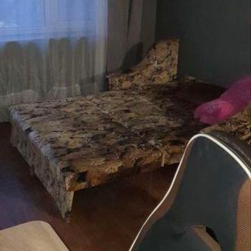 Квартира на левом берегу Каменское