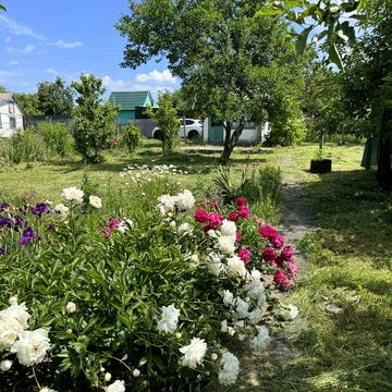 Дача Камʼянське, БАМ, Соцмісто, Хімік 3