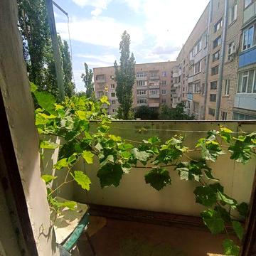 81м² крупногабаритна 4х ком.кв-ра, р-н Херсонского шоссе