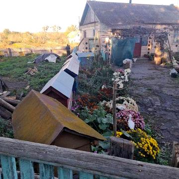Здається в оренду будинок