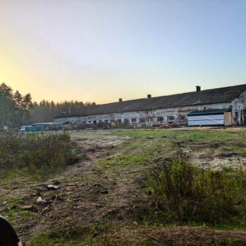 Сдаётся коровник