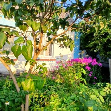 Продам великий,  цегляний будинок в с. Нещерів, Обухівського р-ну!
