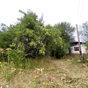 продам дачу з великою кількістю землі.