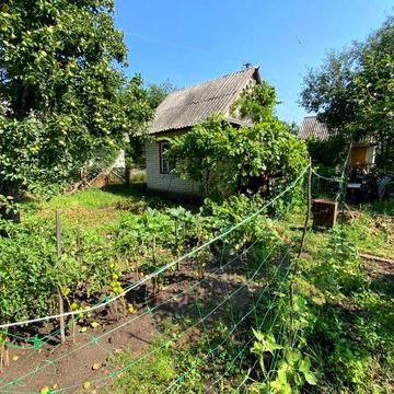 Продаю дві дачі. Приватизовані.