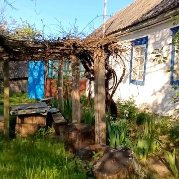 Будинок с.Потіївка 25 соток землі