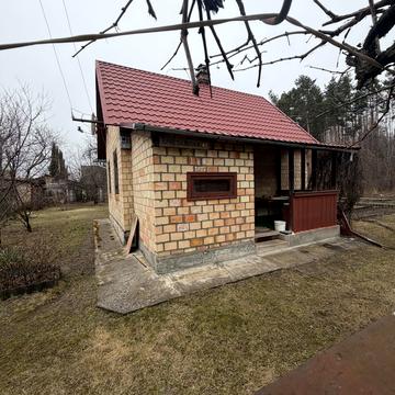 None 29999.0 USD