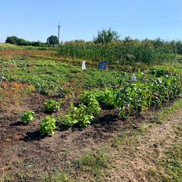 Продам невеликий будинок Нововодолазький р-н с. Низівка 2 хвилини до електрички