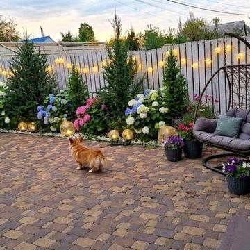 Таунхаус 100 м2, з власною ділянкою в один поверх