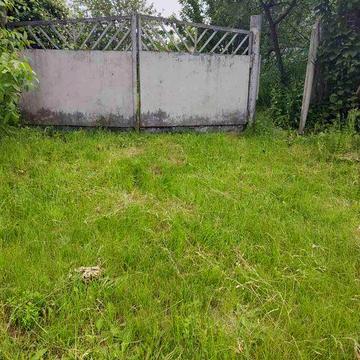 Продається хата в селі Лісовичі Білоцерківський р-н Київська область, 25соток землі, в центрі села. 4км від м. Тараща. Ціна договірна.