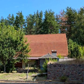 ПРОДАМ БУДИНОК 130 м² БІЛЯ ЛІСУ с. Вишняки. Автономія, 3 фази, 17.5 сот