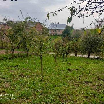 Будинок і земельна ділянка
