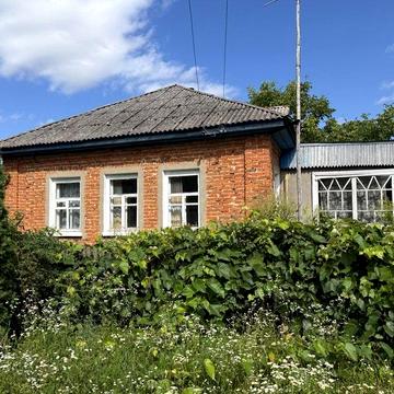 Продам будинок, смт Вороніж, Сумська область - сад, сараї, літня кухня, погреб