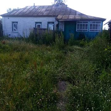 Продам будинок, с. Хлопяники