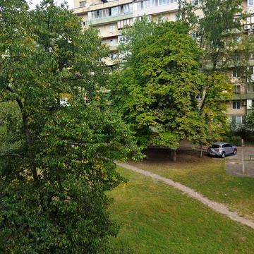 Продам квартиру 2х комнатную Лесной массив проспект