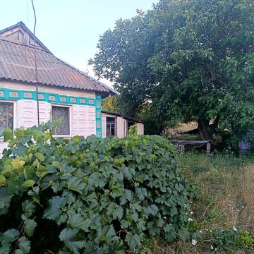 Дім в мальовничому селі