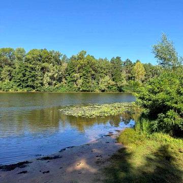 Продаж Дачі біля води та лісу Хотянівка