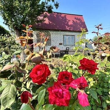 Продаж дачного будинку з ділянкою. Киїнка