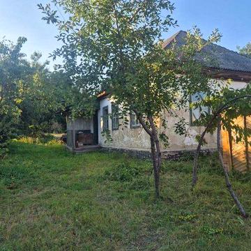 Продаж будинку та ділянки 0.16га, в центрі села Руська Поляна з прямий виходом в ліс.