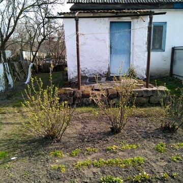 Продам будинок в с. Новый Биков