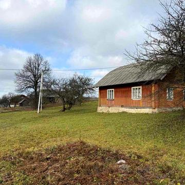 Будинок в Карпатах