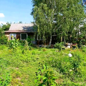 Продаж будинок Піщанка