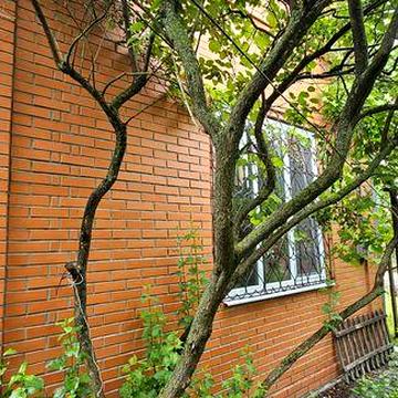 Будинок.  Дача. Метро Славутіч  .оренда. власник