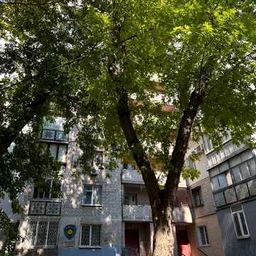 Трёхкомнатная  квартира  на Королева. Большой балкон.  Кирпичный  дом.  Госпрограммы