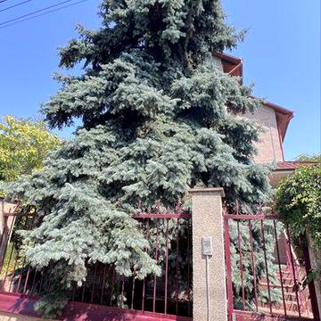 Царское село Дом 400 м2 на 10 сотках Бассейн Сауна Бильярдная 411 батарея ,море 5 мин