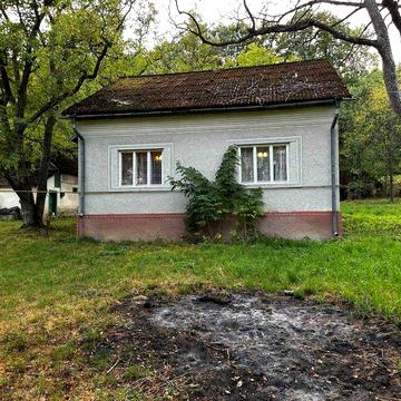 Продається будинок в с. Бедевля (ур. Руня)