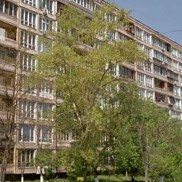 Здам двокімнатну м.Героїв Дніпра 2хв пішки