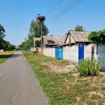Продається гарна садиба в с.Ладинка (р.Десна +сосновий ліс).