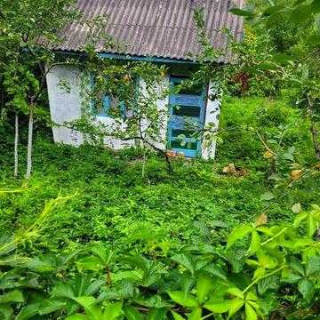Продаж дачного участку