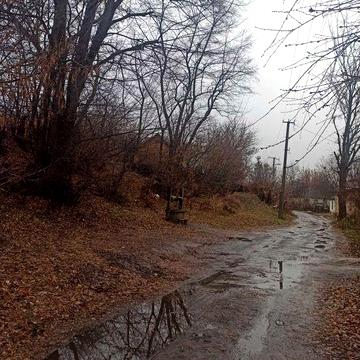 Продам будинок в селі Бобриця