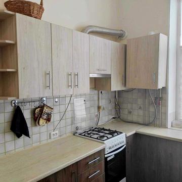 Здається в оренду 1-кім. квартира по вул. Шашкевича